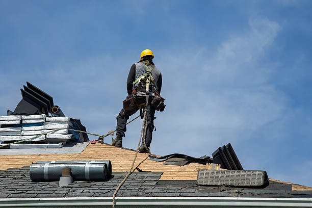 Professional Roof Replacement technician working in Clarkton, NC